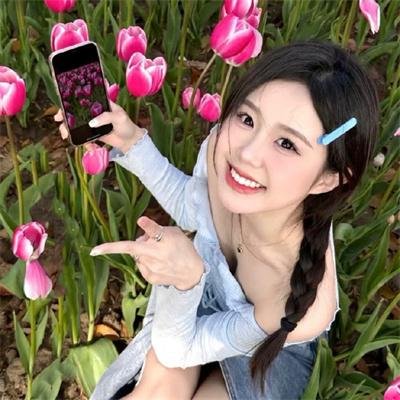 神烦警探第四季